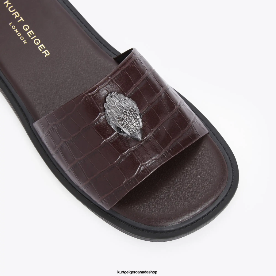 Kurt Geiger London Oscar Slide Men | Footwears Brown 820JZJ498